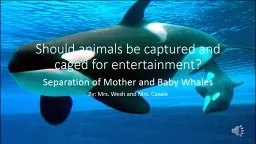 Should animals be captured and caged for entertainment?