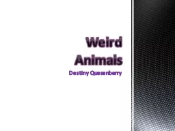 Destiny Quesenberry Weird