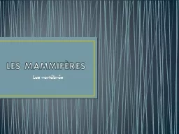 LES MAMMIFÈRES Les  vertébrés