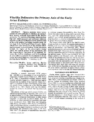 DEVELOPMENTAL DYNAMICS   Fibrillin Delineates the Prim
