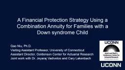 A Financial Protection Strategy Using a Combination Annuity for Families with a Down syndrome