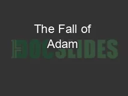 The Fall of Adam & Eve