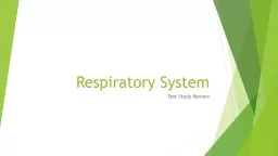 Respiratory System  Test Study Review