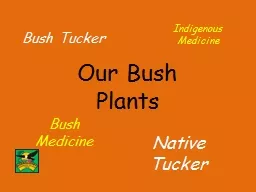 Our Bush Plants Native Tucker
