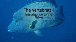 The Vertebrata  I Introduction to the Fishes
