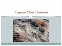 Equine Skin Diseases What is a Disease?