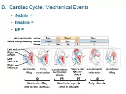 D .  Cardiac Cycle:  Mechanical Events