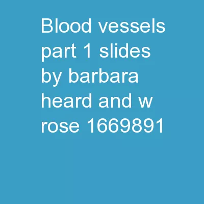 Blood Vessels Part 1 Slides by Barbara Heard and W. Rose.