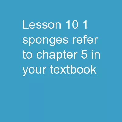 Lesson 10.1 :  Sponges  *Refer to Chapter 5 in your Textbook
