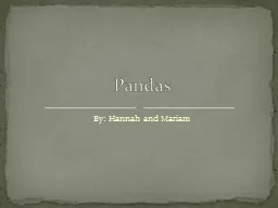 Pandas - SINCE 9/11 