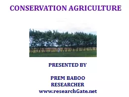 CONSERVATION AGRICULTURE