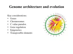 Genome architecture and evolution