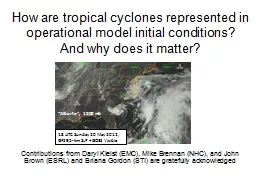 How are tropical cyclones represented in operational model initial conditions?