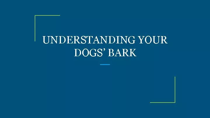 UNDERSTANDING YOUR DOGS’ BARK