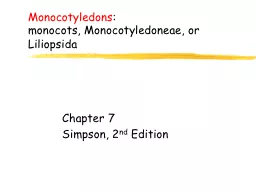 Monocotyledons :  monocots,