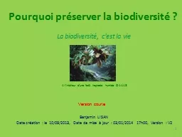 La biodiversité, c’est la vie