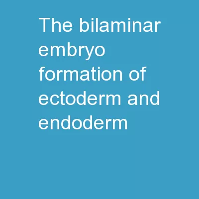 The bilaminar embryo. Formation of ectoderm and endoderm.