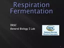 Respiration  & Fermentation
