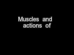 Muscles  and  actions  of
