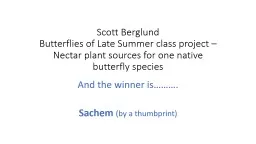 Scott Berglund Butterflies of Late Summer class project – Nectar plant sources for one
