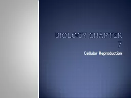Biology Chapter 7 Cellular Reproduction