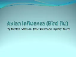 Avian Influenza (Bird flu)