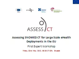 Assessing SNOMED CT for Large Scale