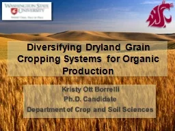 Diversifying Dryland Grain Cropping Systems for Organic Production