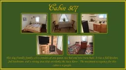 Cabin 507 This dog friendly family