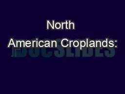 North American Croplands: