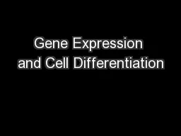 Gene Expression and Cell Differentiation