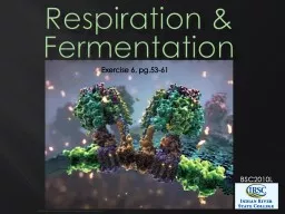 BSC2010L Respiration & Fermentation