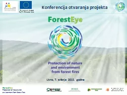 Forest Eye Protection   of