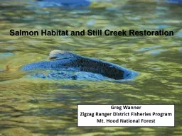 Salmon Habitat and Still Creek Restoration