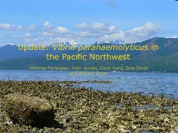 Update : Vibrio  parahaemolyticus