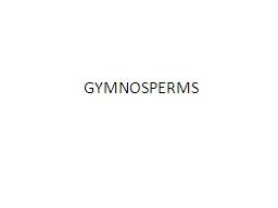 GYMNOSPERMS INTRODUCTION