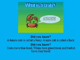 Did  you know? A female crab is called a