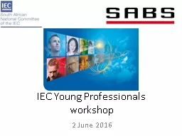 IEC Young Professionals workshop