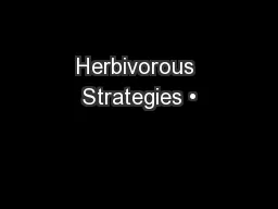 Herbivorous Strategies •