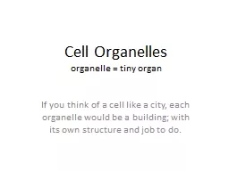 Cell Organelles organelle = tiny organ