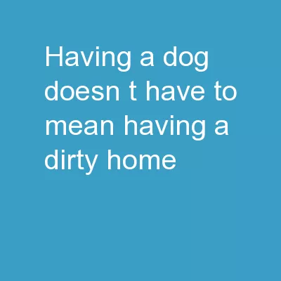 Having A Dog Doesn’t Have To Mean Having A Dirty Home