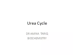 Urea Cycle DR AMINA TARIQ