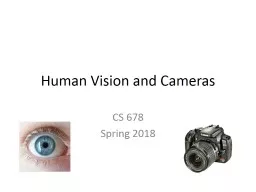 Human Vision and Cameras