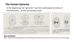 The Human Genome In the beginning, the “genome” was first understood in terms of chromosomes…