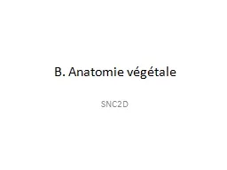 B. Anatomie végétale SNC2D