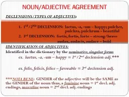 DECLENSIONS/TYPES   OF ADJECTIVES