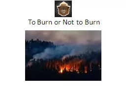 To Burn or Not to Burn Wildfire