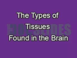 The Types of Tissues Found in the Brain