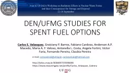 DEN/UFMG STUDIES FOR SPENT FUEL OPTIONS