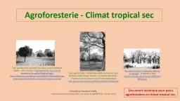 1 Agroforesterie - Climat tropical sec